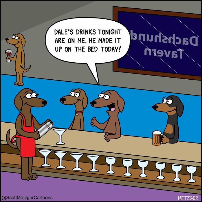 A comic of dachshunds at a bar celebrating another dog's good behavior. A Scott Metzger comic of relatable dogs.