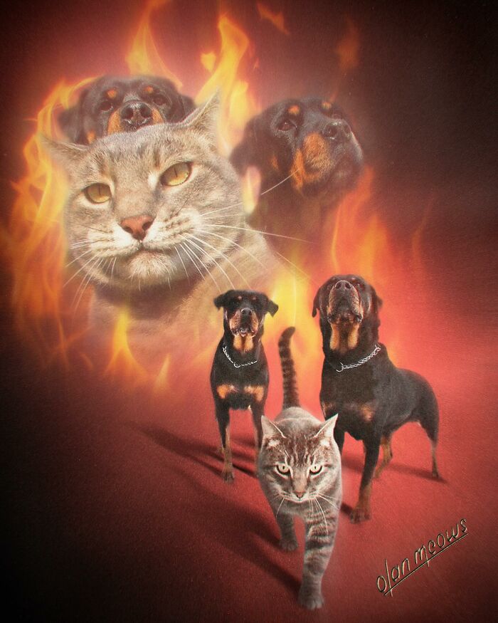 A dramatic 80s portrait of a cat leading Rottweilers, showcasing pets in a hilarious, over-the-top manner.