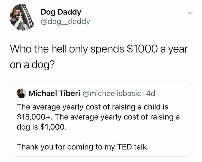 Funny dog meme about yearly cost of raising a dog.