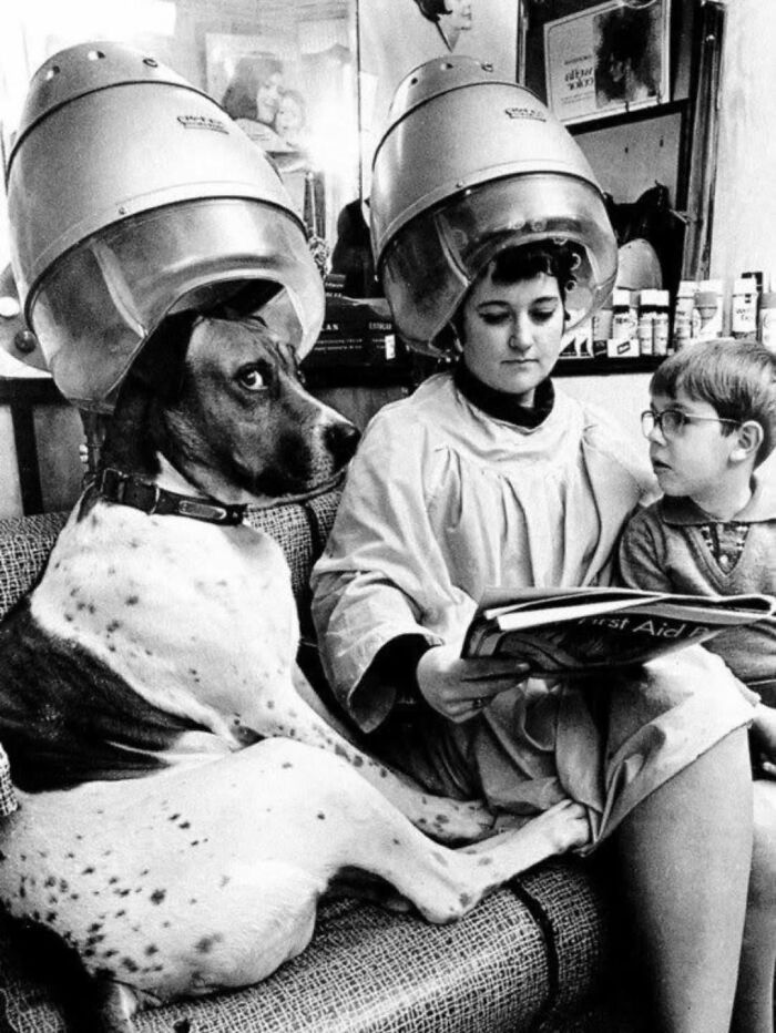 Artistic pure photography of a dog getting its hair done under a dryer with a woman and boy.