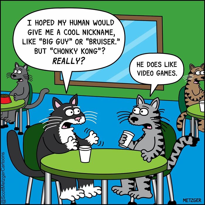 A comic of cats discussing their human-given nicknames, highlighting relatable comics about cats and dogs.