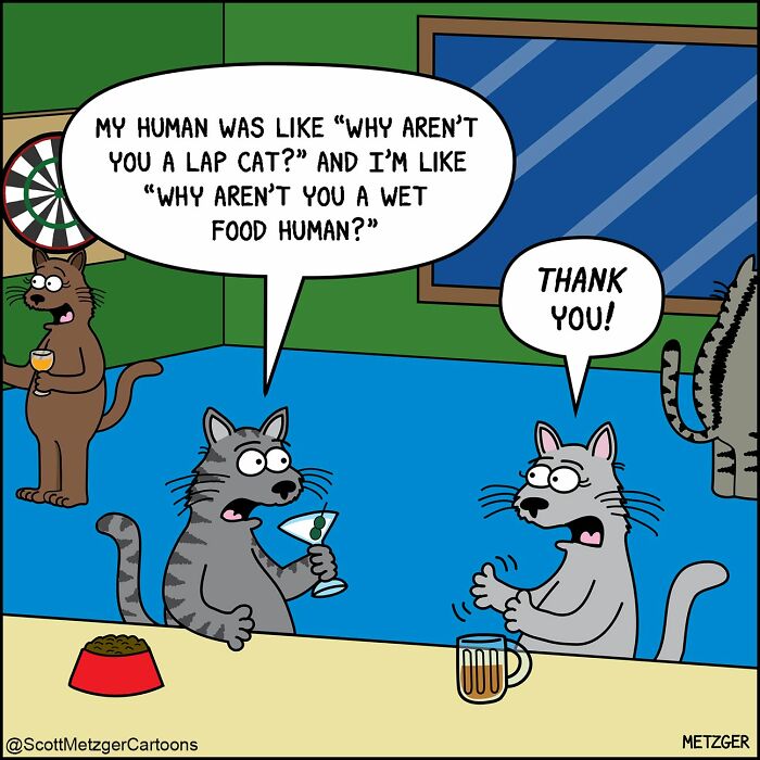 A comic of cats discussing their human interactions and wet food, part of relatable comics about cats and dogs.