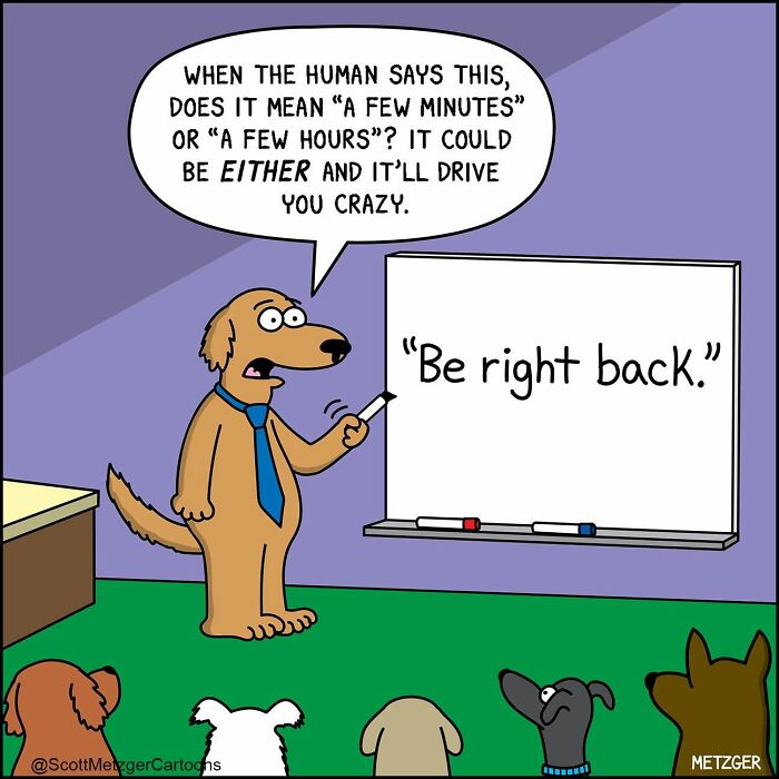 A comic of a dog professor explaining the ambiguity of 'Be right back' to other dogs, one of Scott Metzger's relatable comics.