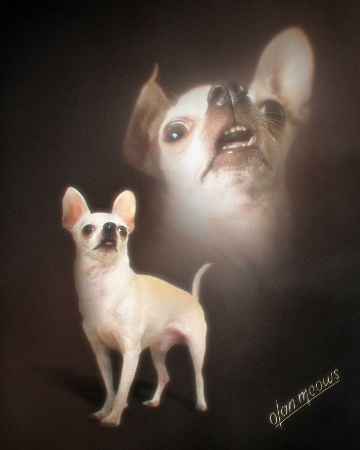 A cute 80s portrait of a chihuahua, expressing its pet character in a hilarious, over-the-top fashion.