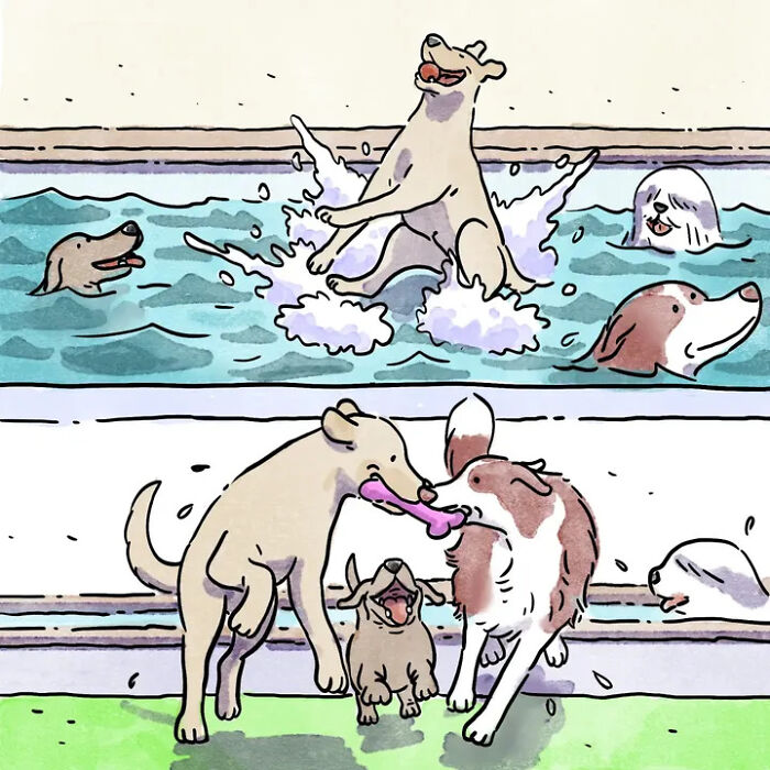 Dogs playing in a pool and with a toy on grass, heartwarming comics about happy life with pets. Dogs playing in a pool and with a toy on grass, heartwarming comics about happy life with pets.