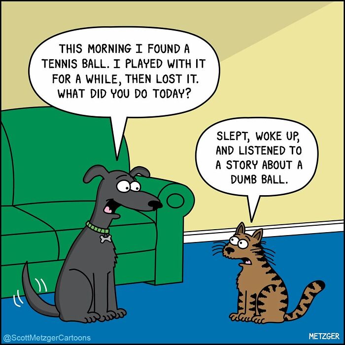 A comic of a dog telling a cat about finding a tennis ball, showcasing the weird logic of cats and dogs.