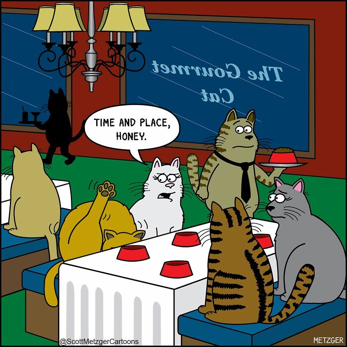 A relatable comic of cats dining at 'The Gourmet Cat' restaurant, with one cat excitedly trying to catch something.