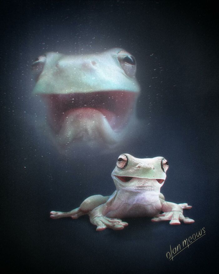 A charming 80s portrait of a frog, showing its pet personality in a hilarious, over-the-top style.
