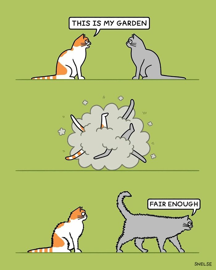 Funny cat comics: an orange and white cat fighting a gray cat over a garden, then walking away.
