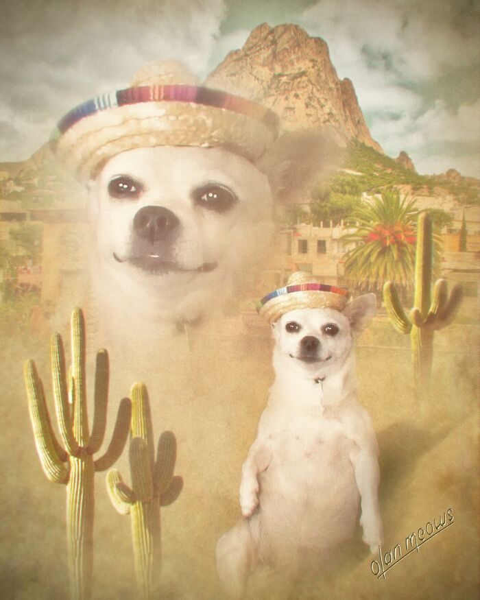 Over-the-top 80s portrait of a chihuahua wearing a sombrero, with a larger ghostly chihuahua head and desert landscape.