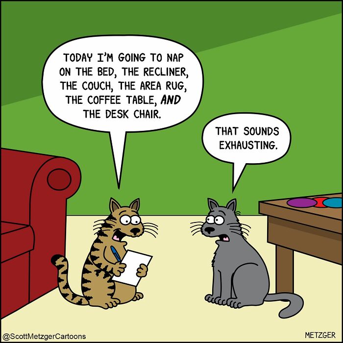 A comic featuring two cats discussing nap locations, illustrating the weird logic of cats and dogs.