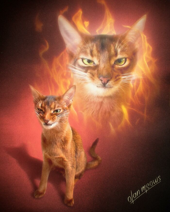 Hilarious 80s portrait of a cat surrounded by flames, with a larger, fiery spectral cat head floating above it.
