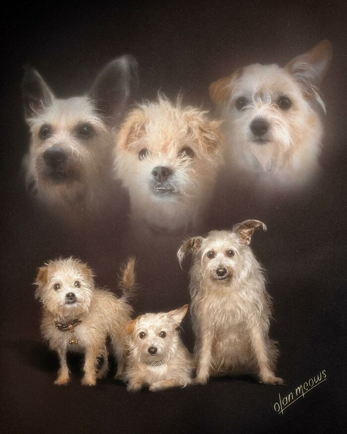 Over-the-top 80s portrait featuring a group of five dogs against a dark background, some appearing as floating heads.