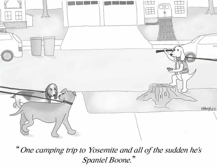 40 Single-Panel Comics Where Everyday Life Takes A Hilariously Absurd Turn