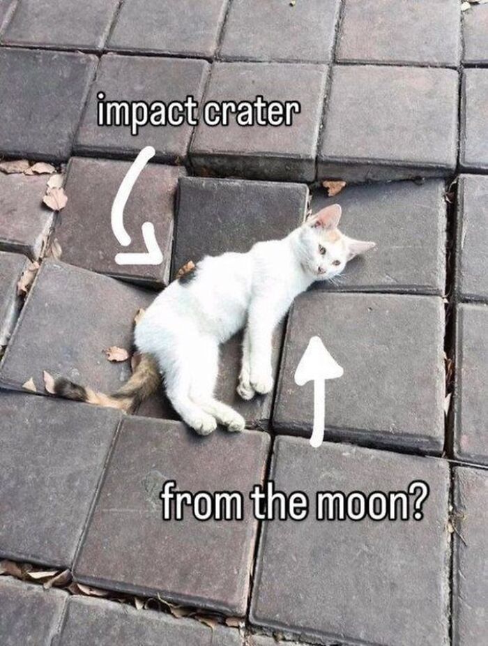 A cat meme showing a white cat lying in a broken paving stone, humorously labeled as an impact crater.