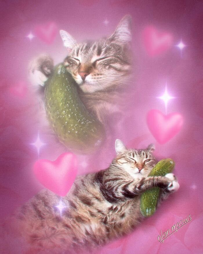 Hilarious 80s portrait of two cats embracing pickles, surrounded by pink hearts and sparkling effects on a pink background.