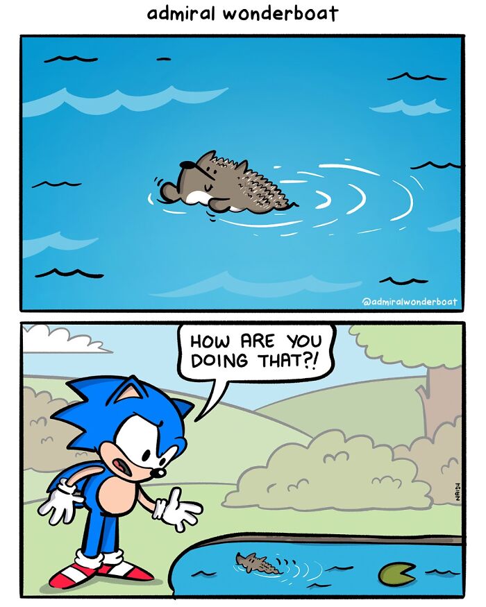 A comic about friendship and life, showing Sonic the Hedgehog observing a hedgehog swimming in water.