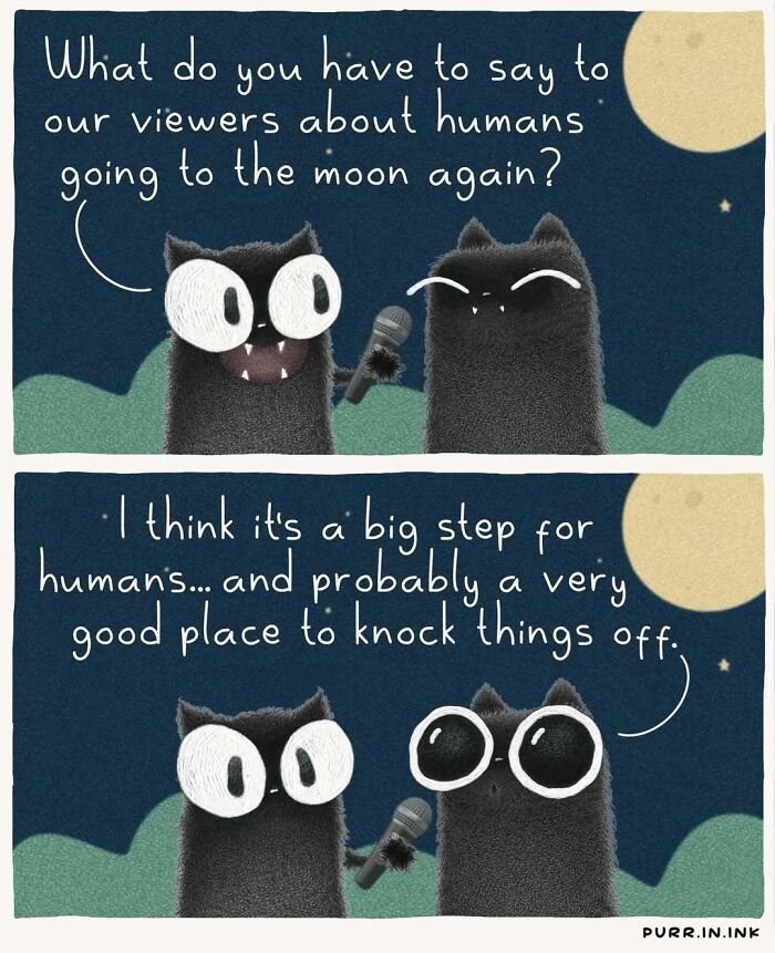 Adorable illustrations of cat behavior: Two cats discuss humans going to the moon, big step to knock things off.