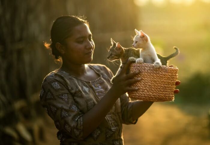 “The Secret Lives Of India’s Street Cats”: 24 Heartwarming Photos That Turn Everyday Felines Into Unforgettable Stars