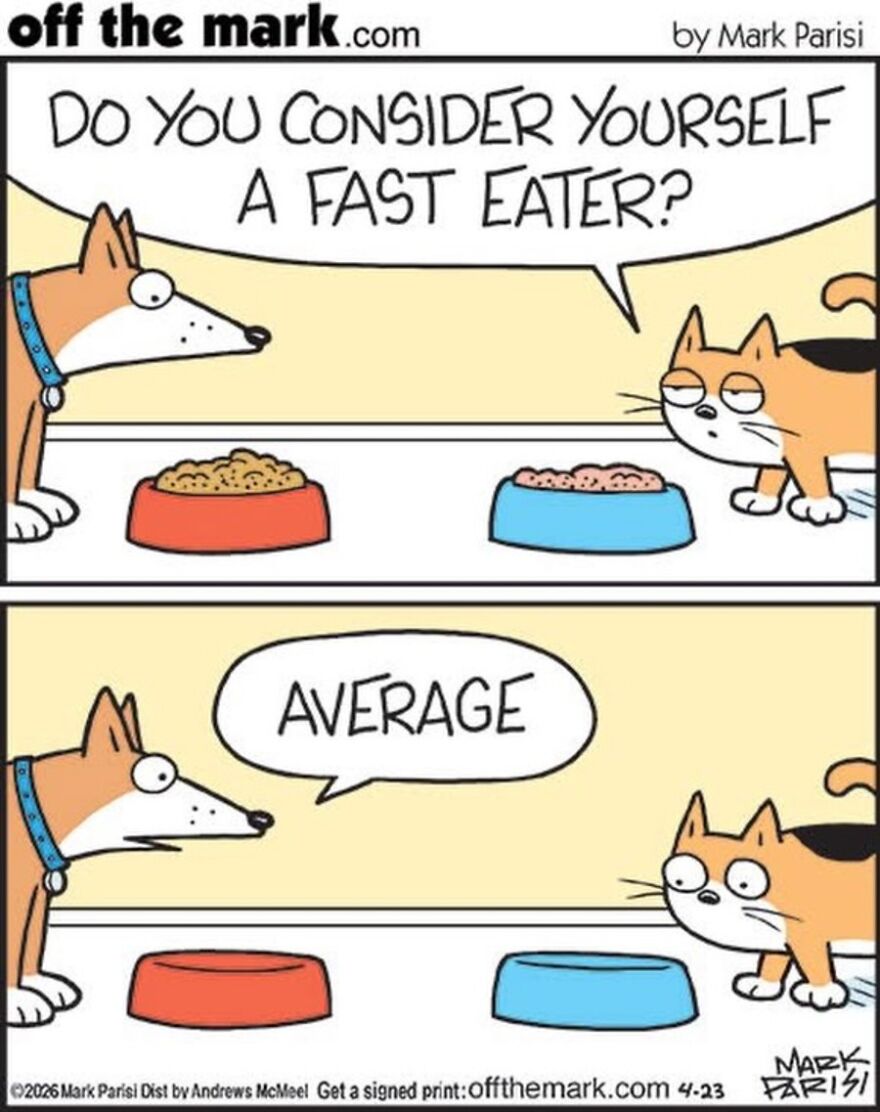 Cats Turn Everyday Chaos Into Comedy In These 36 New Cartoons By Mark Parisi