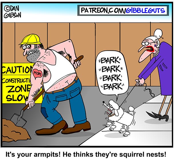 Hilarious one-panel comic by Dan Gibson: a construction worker with hairy armpits and a poodle barking at him.