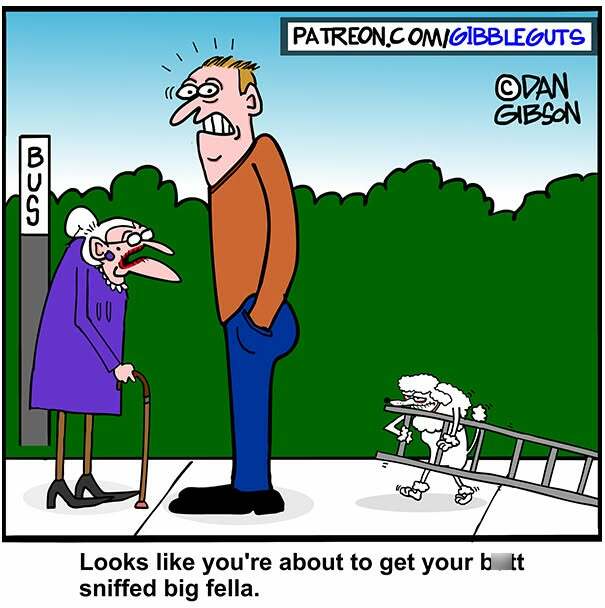 Hilarious one-panel comic by Dan Gibson: an old woman and a poodle with a ladder approach a tall man.