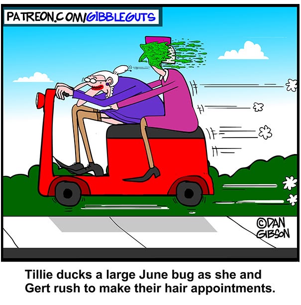 Hilarious one-panel comic by Dan Gibson: Older couple on a scooter, woman driving with a bug splattering on the man's face.