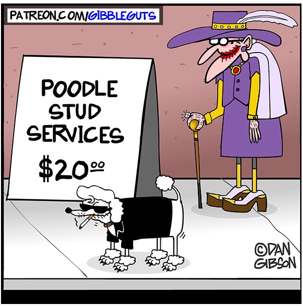 Hilarious one-panel comics by Dan Gibson; a stylized poodle offers stud services for $20, next to a flamboyant owner.