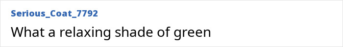 A screenshot of a Reddit comment describing a new color as a relaxing shade of green.