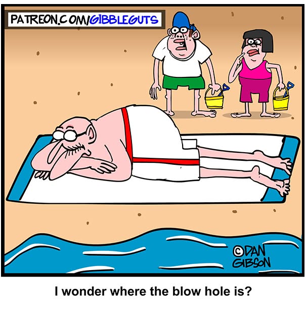Hilarious one-panel comics by Dan Gibson; an older man sunbathing on the beach is mistaken for a beached whale.