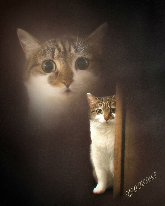 A pet cat with big eyes peeking from behind a wooden post, given a hilarious over-the-top 80s portrait treatment.