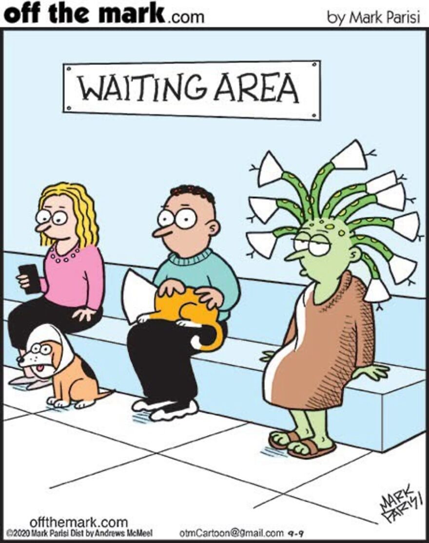 Cats Turn Everyday Chaos Into Comedy In These 36 New Cartoons By Mark Parisi