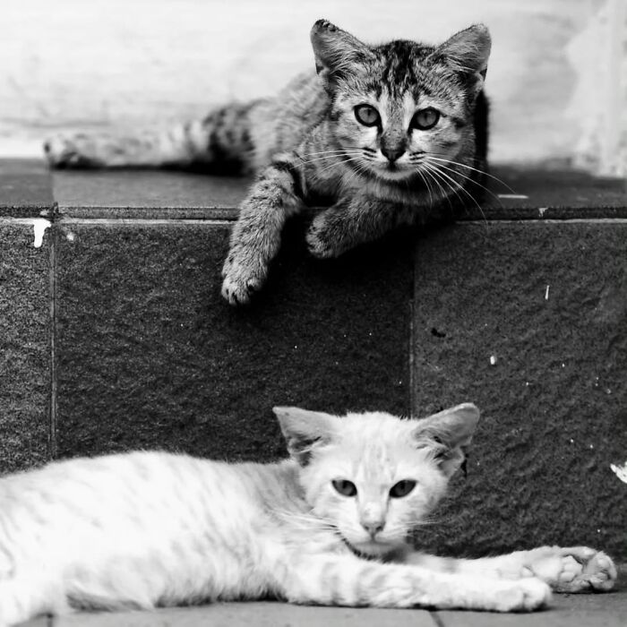 40 Striking Street Photos To Get You Ready For The Pure Street Photography Awards 2027