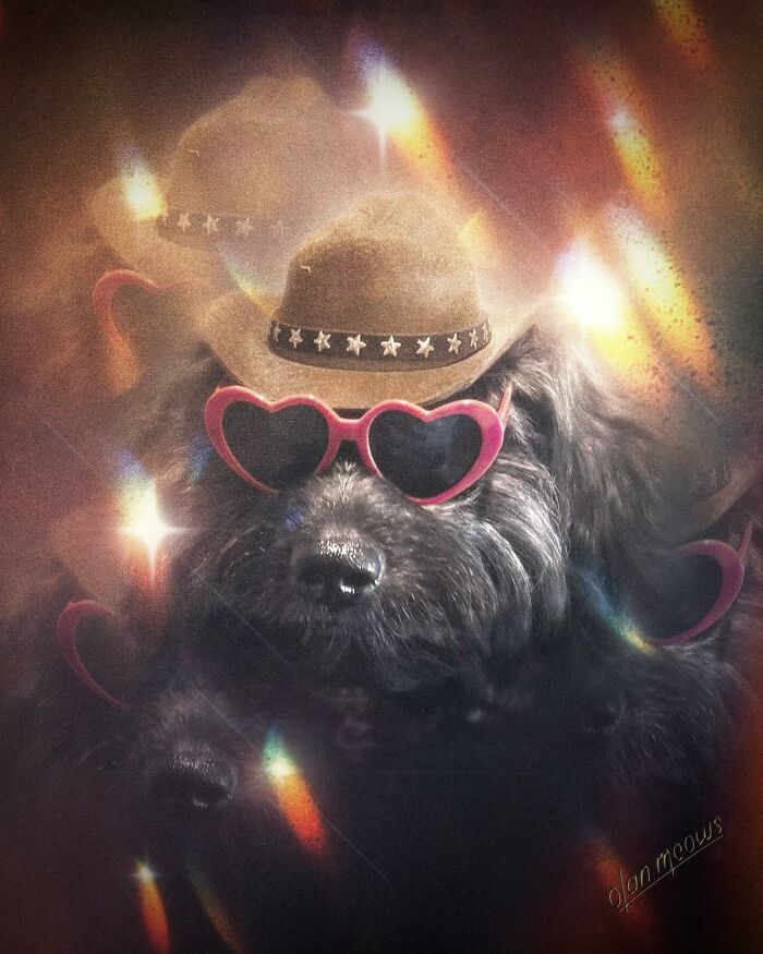 A pet dog in heart-shaped sunglasses and a cowboy hat, given a hilarious over-the-top 80s portrait treatment.