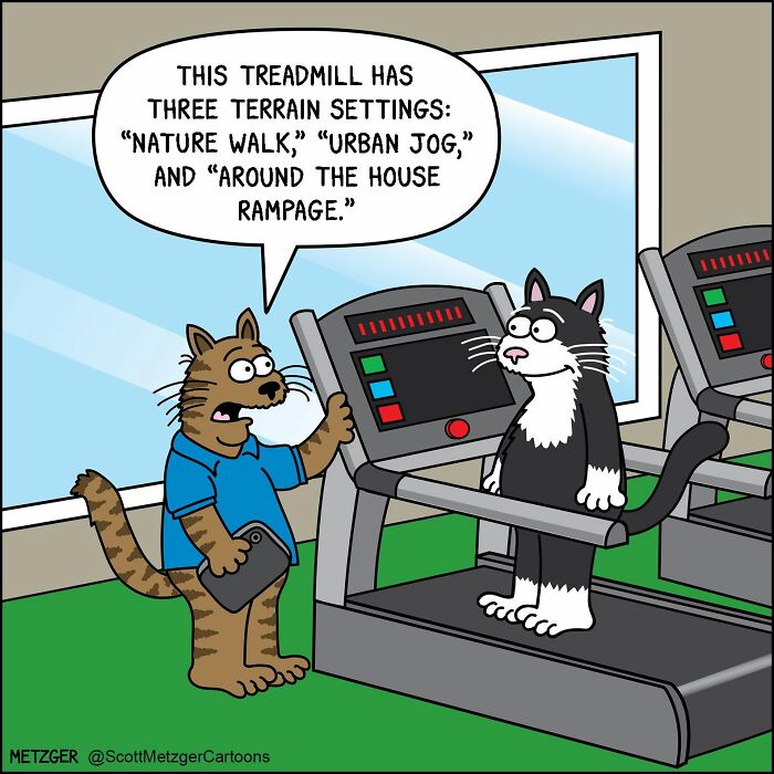 A comic of two cats at a gym, one explaining treadmill settings including 'around the house rampage,' reflecting the weird logic of cats.