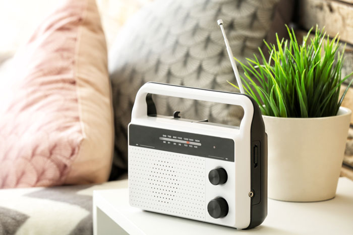 A white and black portable radio on a table next to a green plant, a sign from the universe.