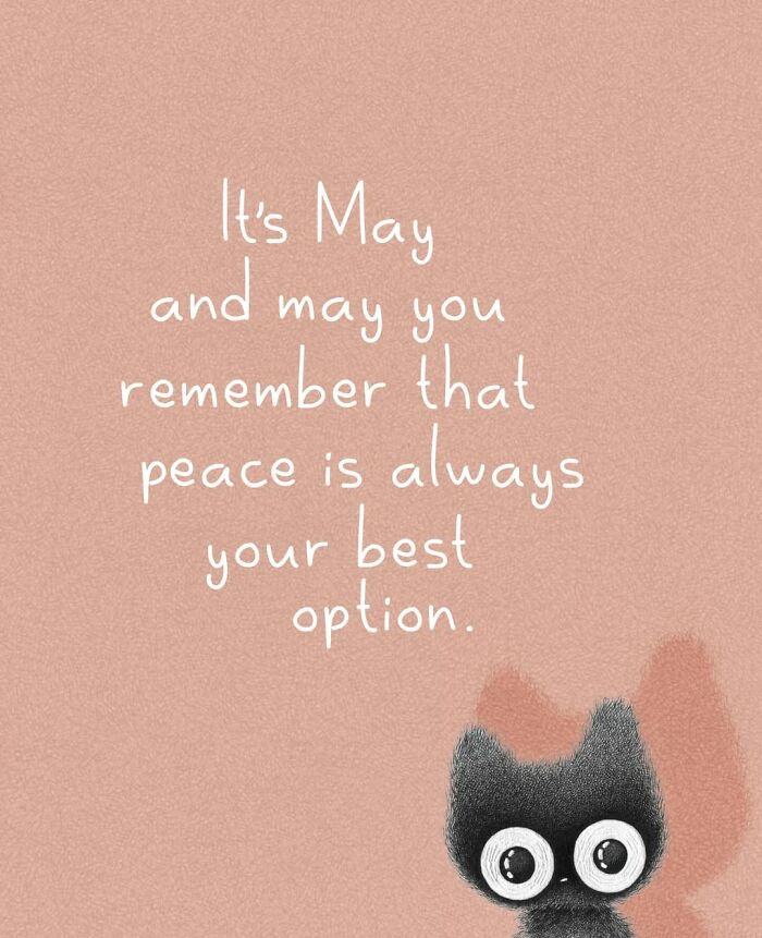 Adorable illustrations of cat behavior, a black cat with wide eyes and a May quote about peace.
