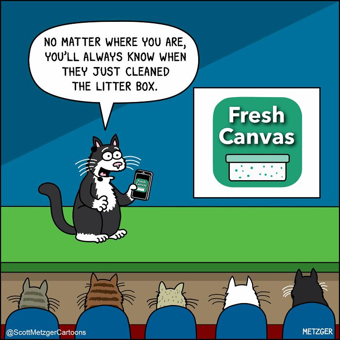 A black and white cat presenting a Fresh Canvas app to an audience of cats, depicting relatable comics.