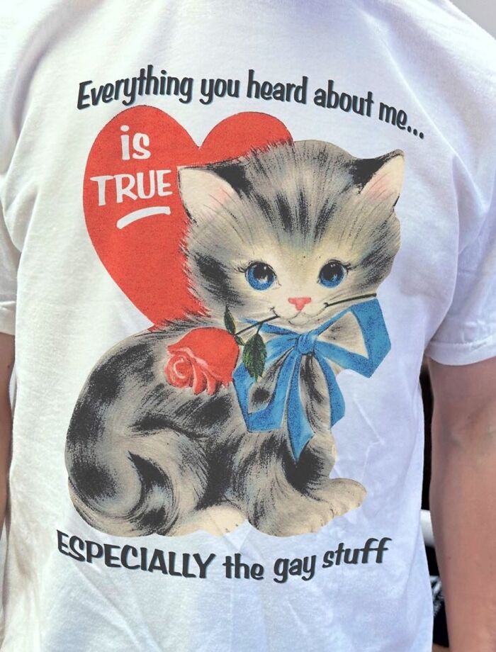 A white shirt featuring an iconic shirt design of a kitten with a red heart, declaring everything you heard about me is true.