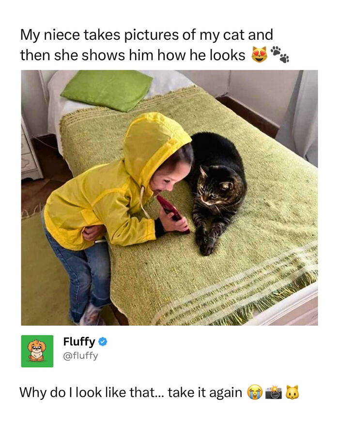 A wholesome animal meme depicts a child in a yellow rain jacket showing a cat its picture on a phone.