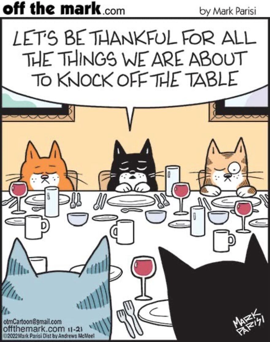 Cats Turn Everyday Chaos Into Comedy In These 36 New Cartoons By Mark Parisi