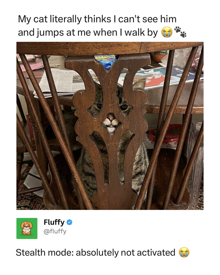 A striped tabby cat peeking through the backrest of a wooden chair with a mischievous expression, a funny animal meme.