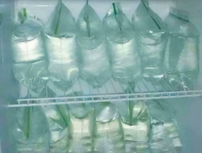 Several plastic bags filled with water hanging inside a refrigerator, one of the baffling images.