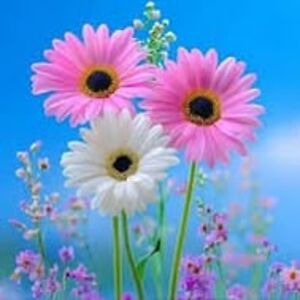 muhamd_mgd avatar