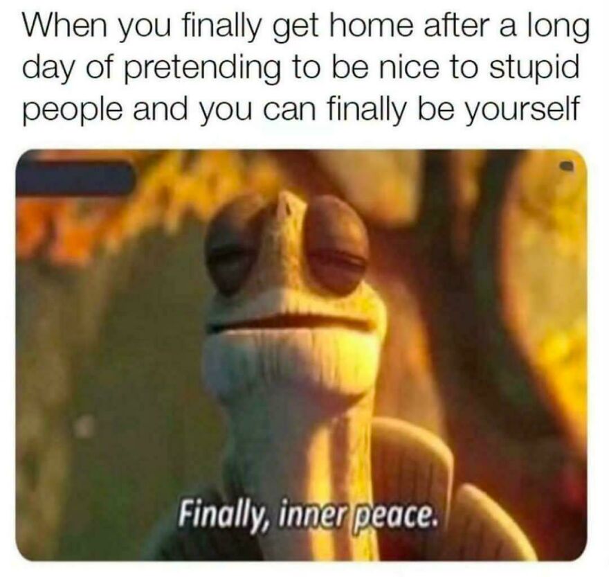 A meme of Master Oogway from Kung Fu Panda finding inner peace after a long day, perfect for hilarious real life memes.
