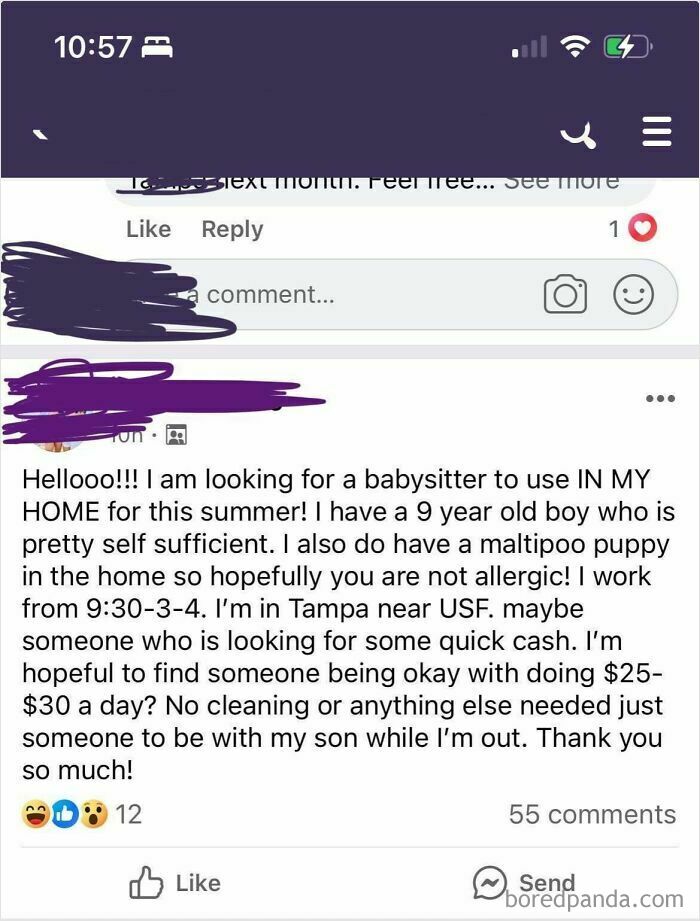 Delusional parents seek a babysitter for a 9-year-old and a puppy for $25-30 a day, calling it quick cash.