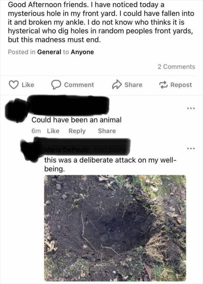 Elderly people online: A social media post from an elderly person complaining about a mysterious hole in their front yard.