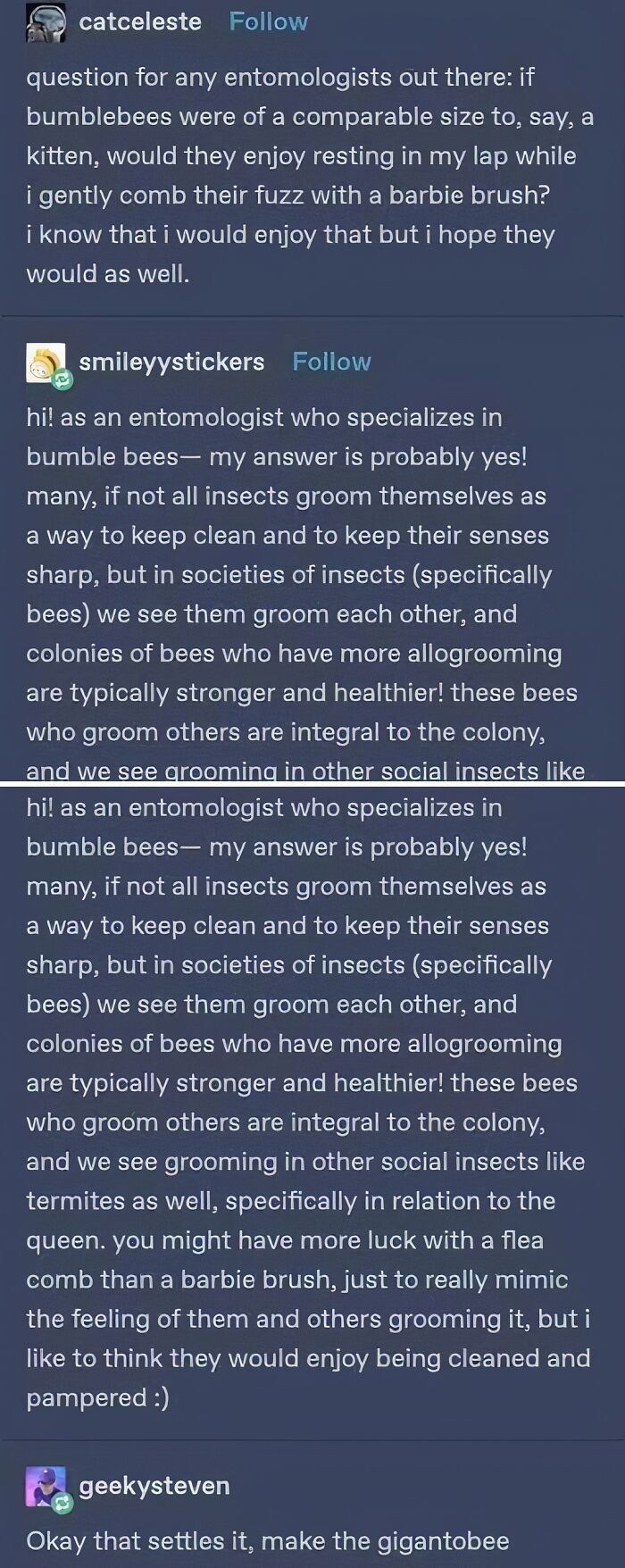Funny memes about science: an entomologist explaining why bumblebees might enjoy being groomed with a brush.