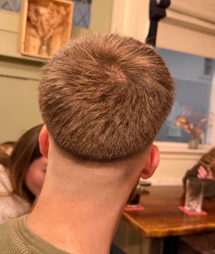 Back view of a man's head with a perfectly rounded, short haircut and a clean fade, showing bold hairstyles.