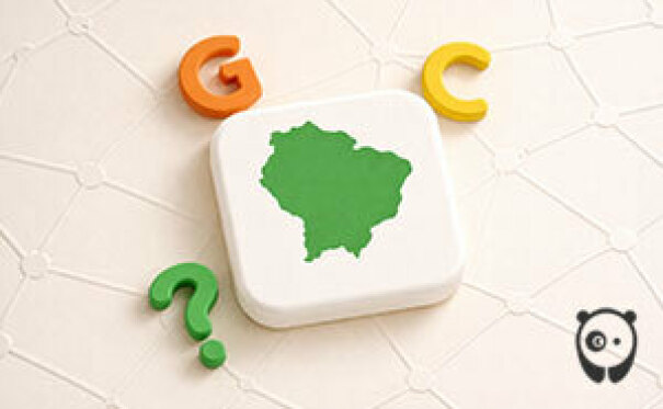 Daily Guess The Country Game #079 (Aug 03, 2026)